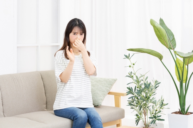 部屋がカビ臭い！原因や対処法は？カビの発生場所から予防法も解説
